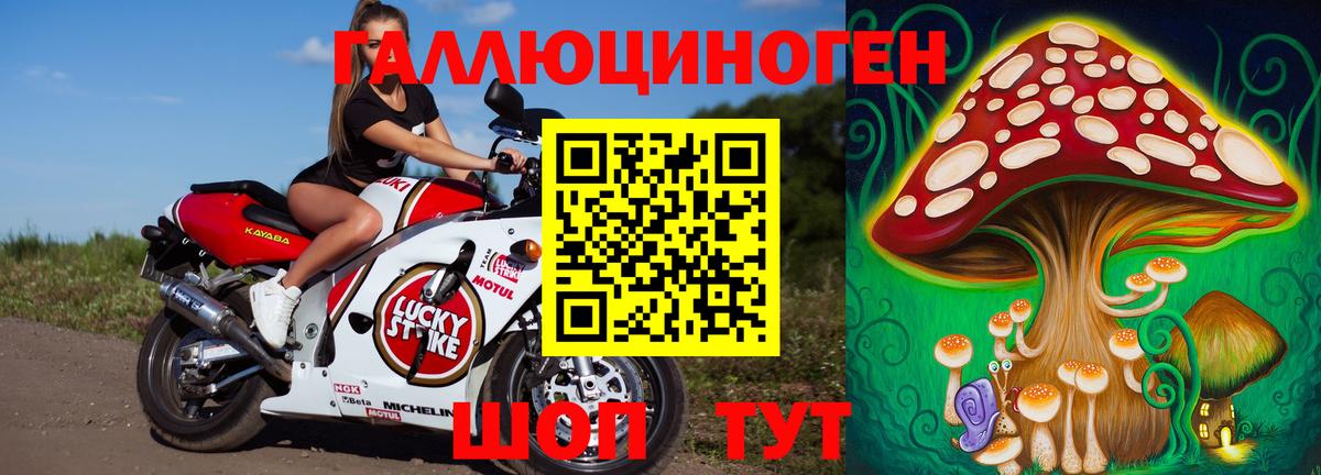 Псилоцибиновые грибы Psilocybine cubensis  Вход с VPN  Лянтор 